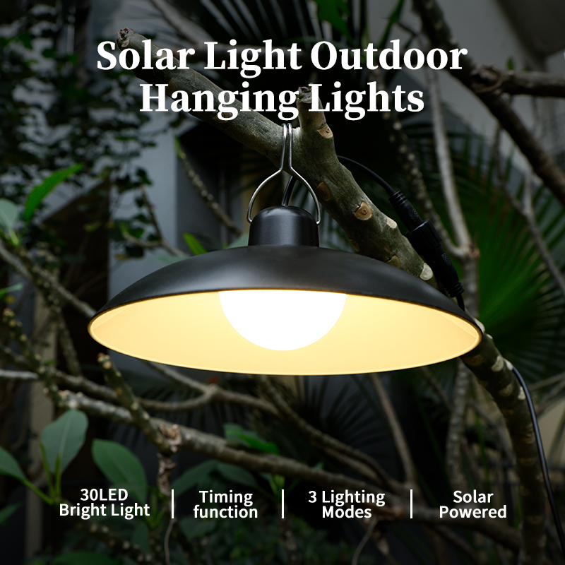 Outdoor Lighting Chandelier - โคมไฟแขวนโซลาร์เซลล์แบบหัวเดี่ยว/หัวคู่ ไฟ LED พลังงานแสงอาทิตย์ แสงสีขาว พร้อมรีโมทคอนโทรล